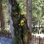 Haus Daniel Neustift im Stubaital