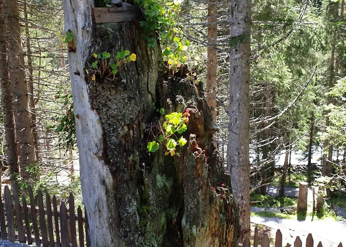 Haus Daniel Neustift im Stubaital