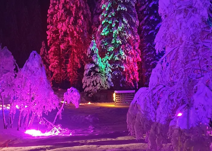 Haus Daniel Apartman